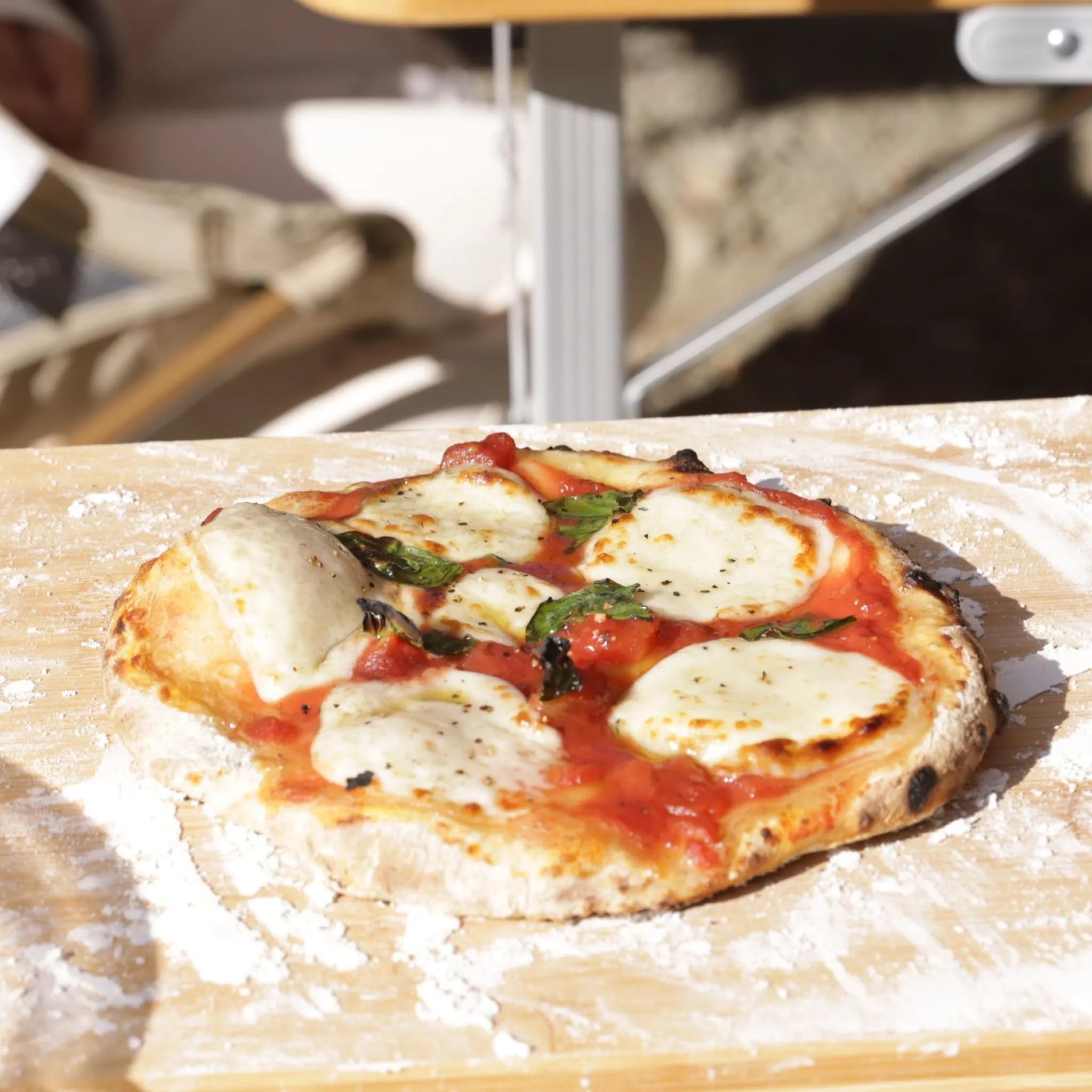 Amazon.co.jp: セルタン ピザ窯1号 ポータブルピザ窯 コンパクト 収納